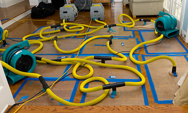 Professional Water Damage Repair technician working in Valders, WI